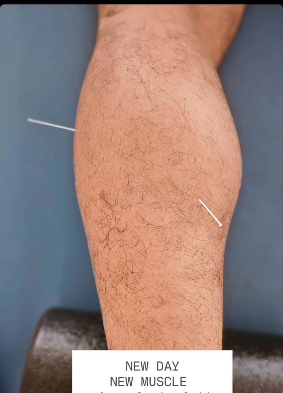 Clinic Gallery - 2025-08-18 09:41:33